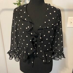 Adorable Polka Dot Sheer Tie Up Blouse